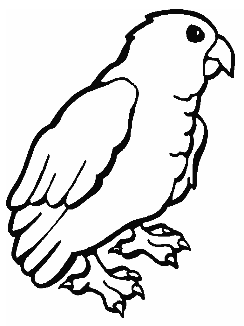 printable animal coloring pages