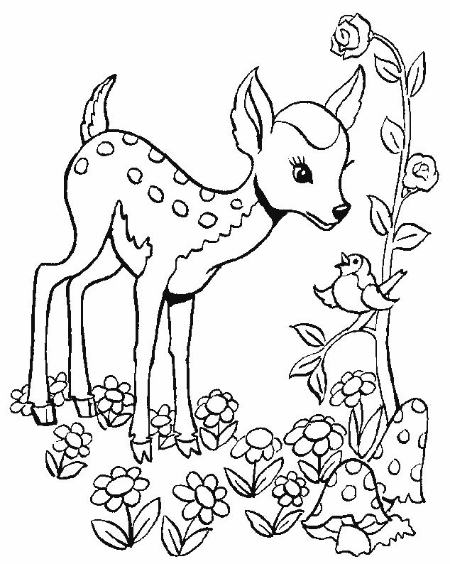 Deers-coloring-page-3 Coloring Kids - Coloring Kids