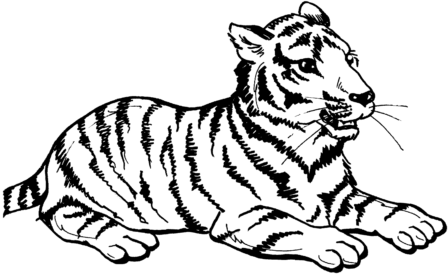 Tigers Coloring Pages Coloring Kids - Coloring Kids