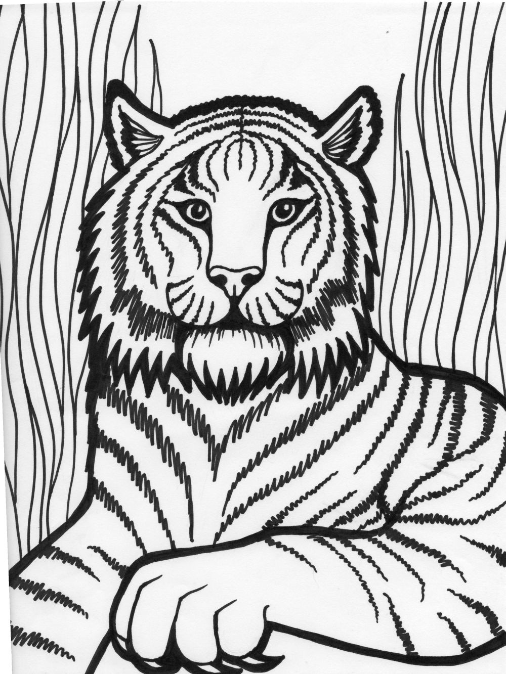 Tigers Coloring Pages Coloring Kids - Coloring Kids