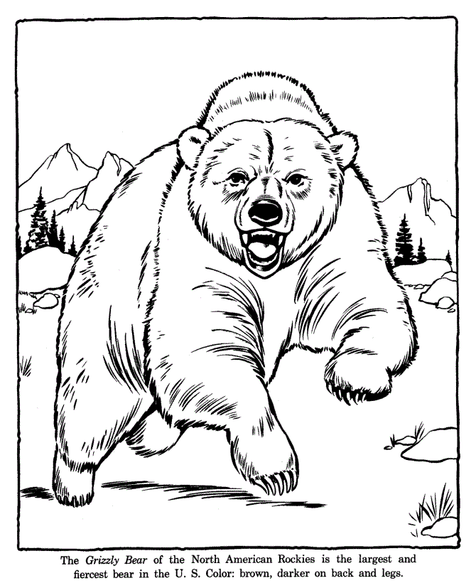 zoo animal coloring printable pages - photo #34