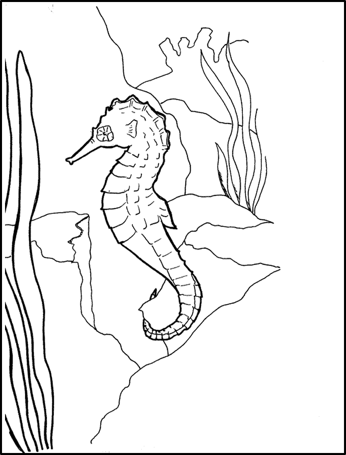 zoobles coloring pages for kids - photo #24
