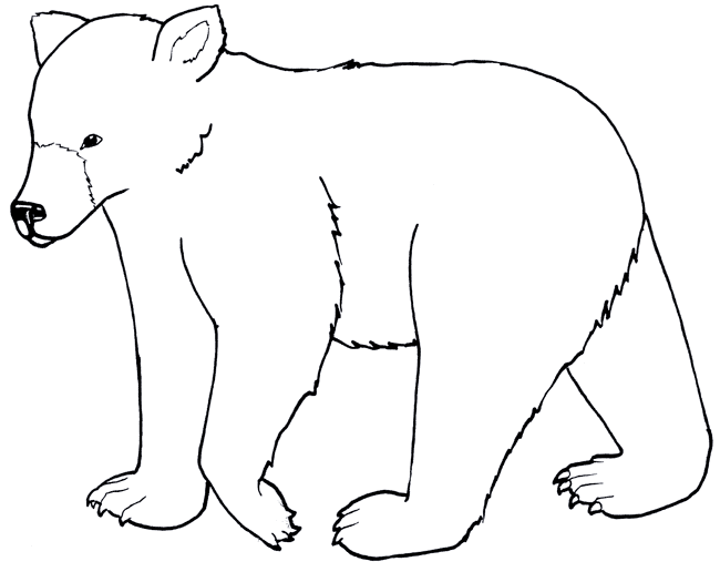 coloring pages of bears - photo #30