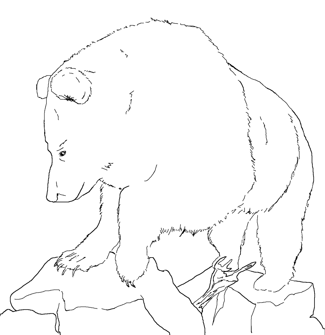 Bear Coloring Pages 29