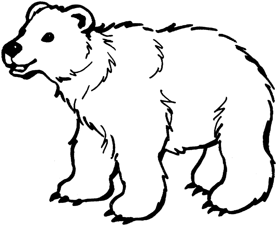 black bear coloring pages printable - photo #12