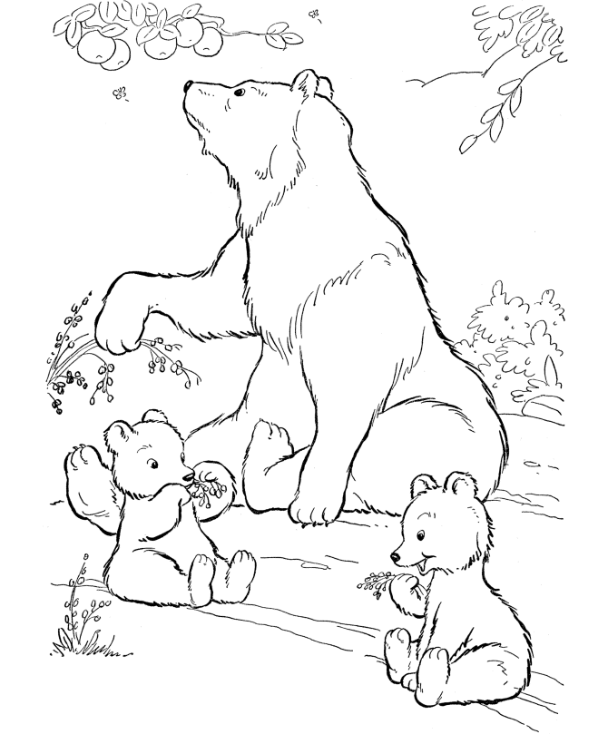 coloring pages of bears - photo #24