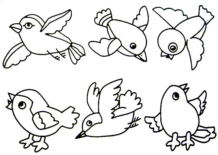 images of birds for coloring book pages - photo #24