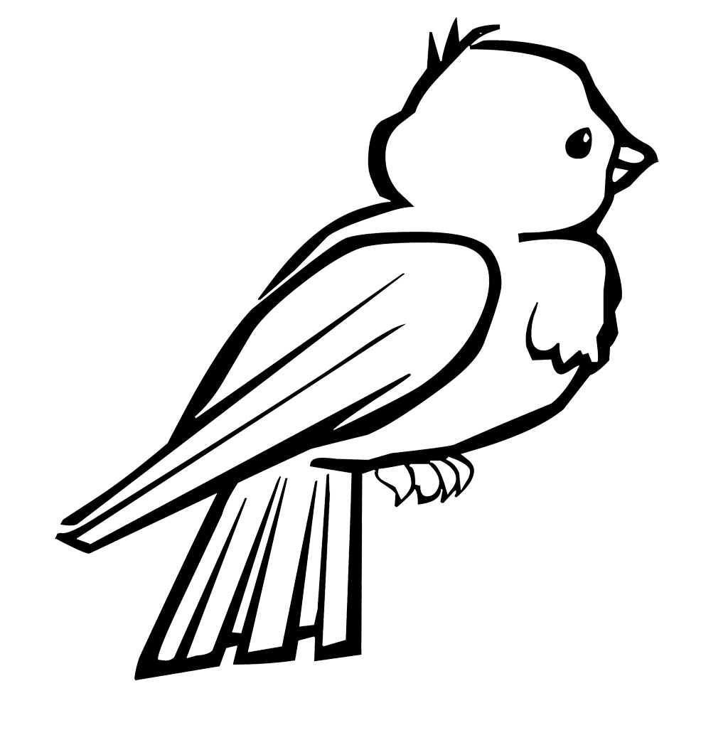 bird 6 Coloring Kids