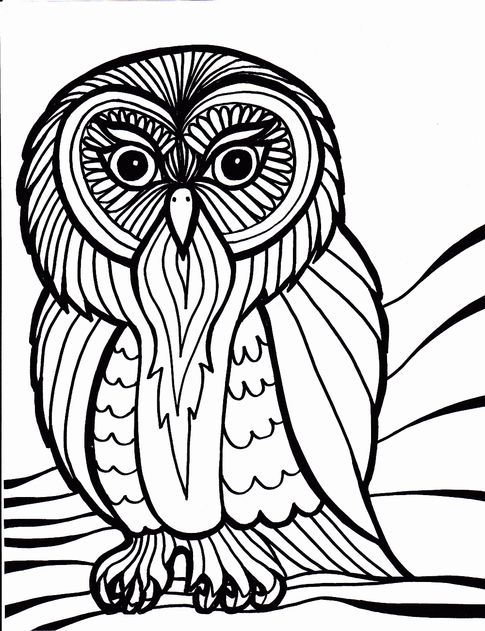 Bird Coloring Pages - Coloring Kids