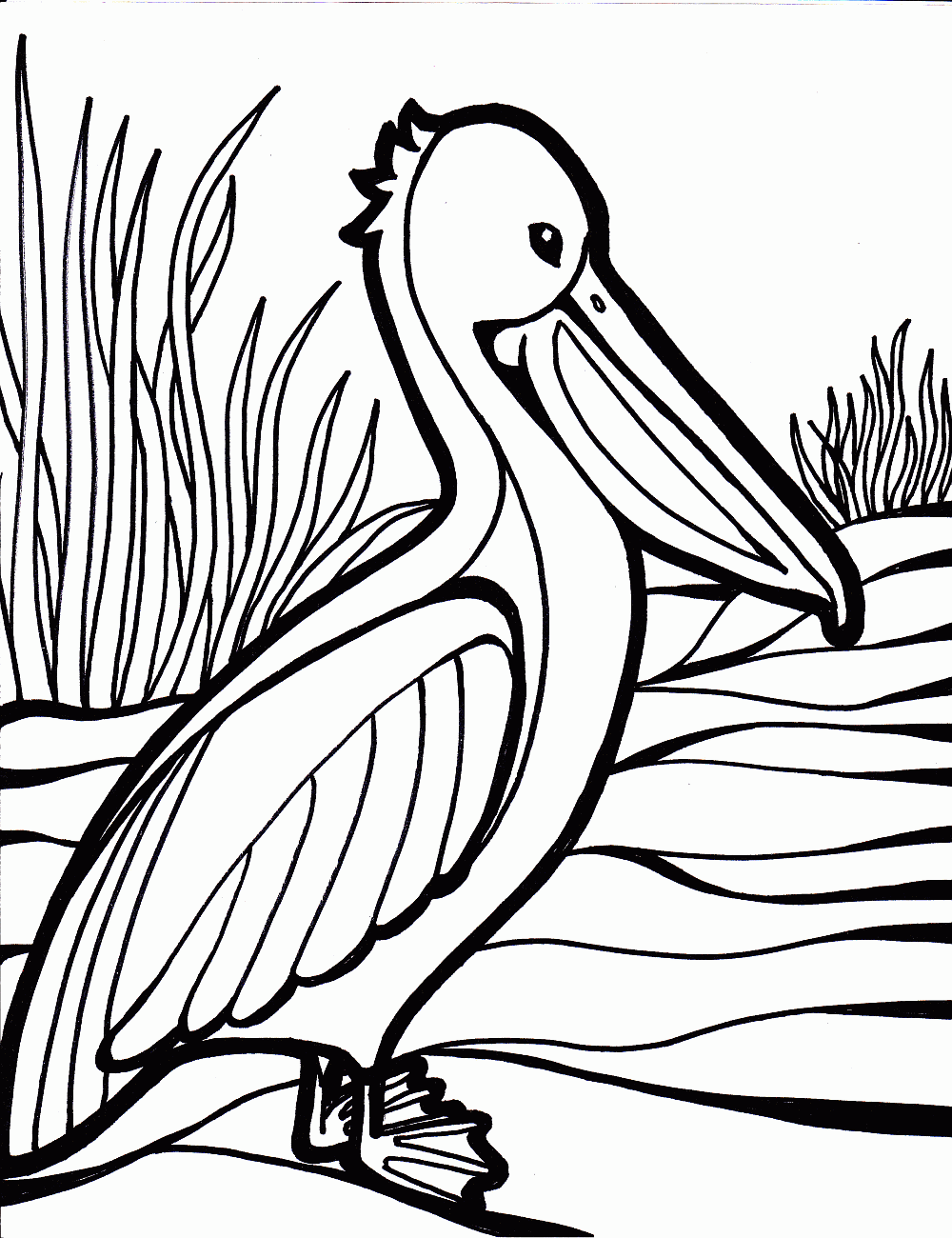 Bird Coloring Pages Coloring Kids