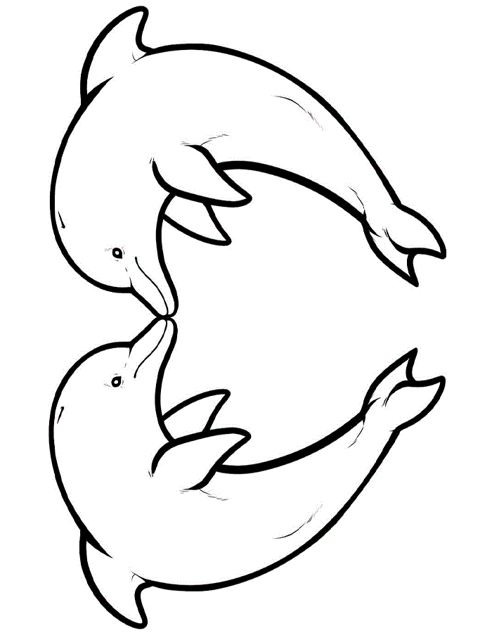 Dolphin Coloring Pages  Coloring Kids
