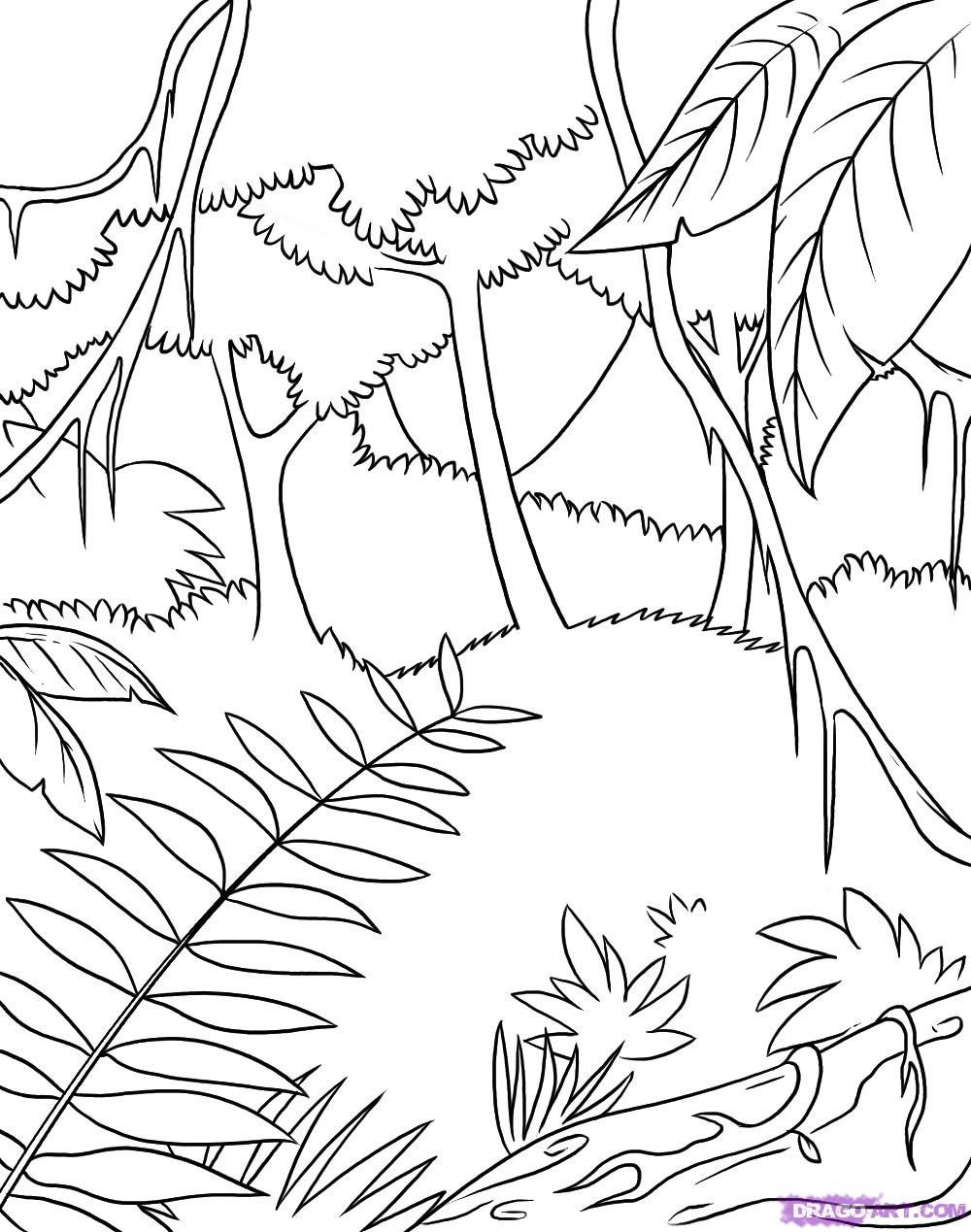 JUNGLE COLORING SHEETS coloring page jungle scene