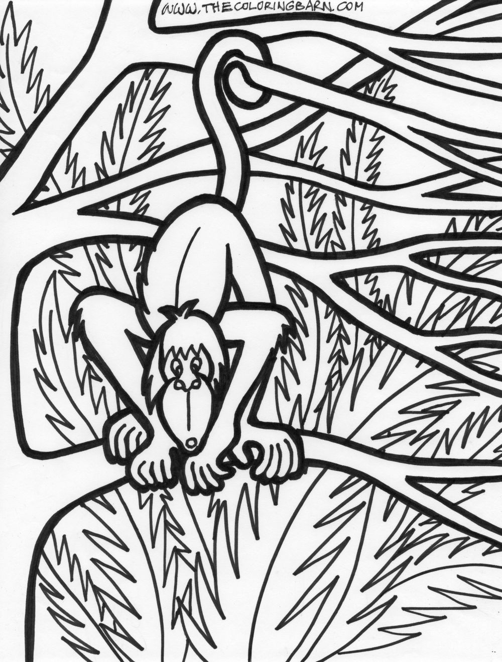 Jungle Coloring Pages (21) | Coloring Kids