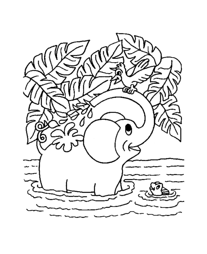 Jungle Coloring Pages Coloring Kids