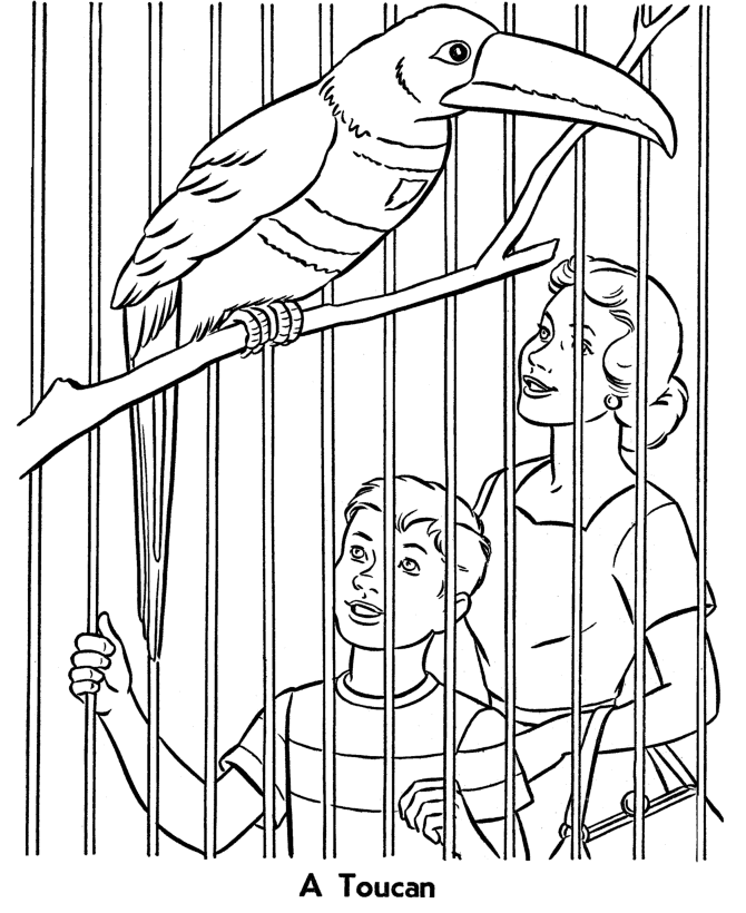 zoo gate coloring pages - photo #7
