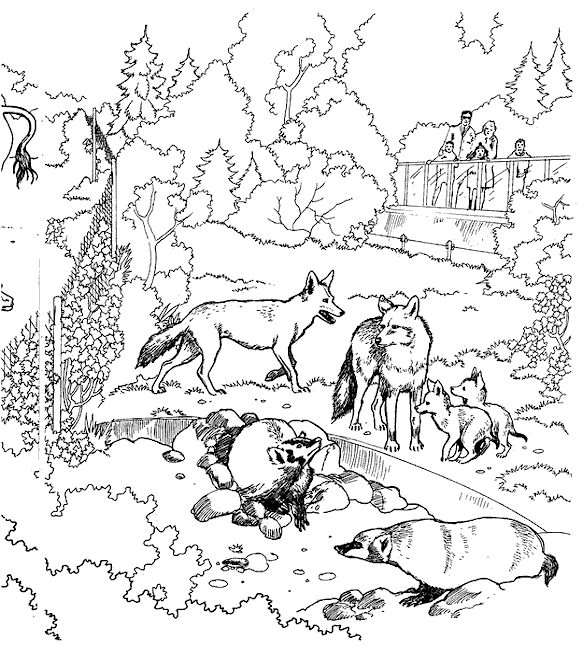 habitats coloring pages for kids - photo #11