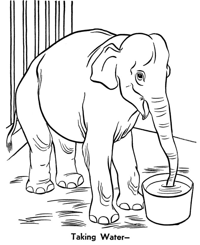 zolo coloring pages - photo #26