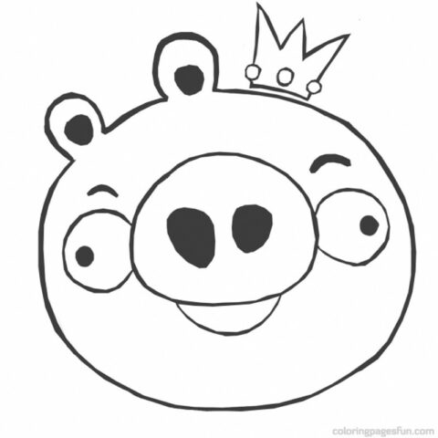 Angry Birds Coloring Pages (2)