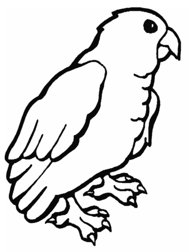 Animal Coloring Pages (19)