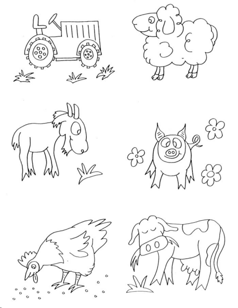 Animals Coloring Pages