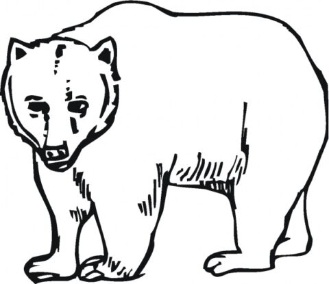 Bear Coloring Pages (1)