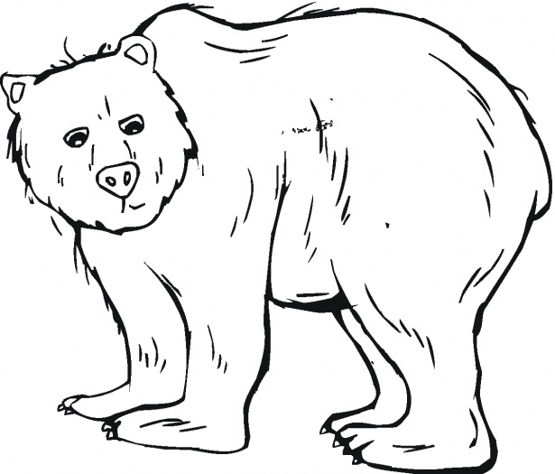 Bear Coloring Pages (6) Coloring Kids - Coloring Kids