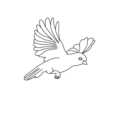 Bird Coloring Pages (2)