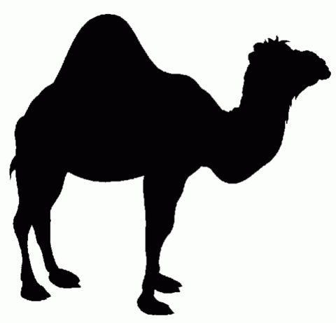 Camel-clip-art-black-and-white-5-600×576