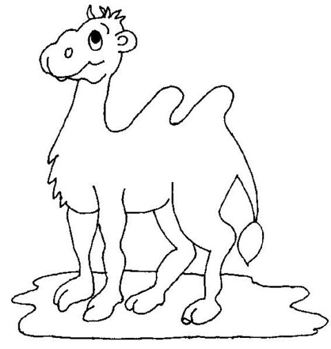 Camels-coloring-page-3