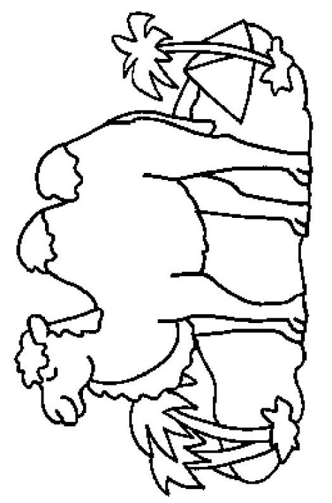 Camels-coloring-page-4