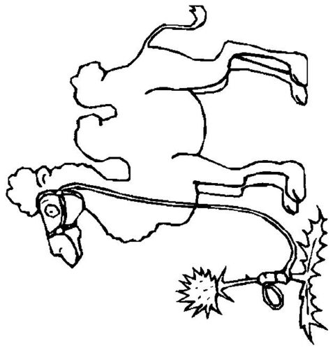Camels-coloring-page-5