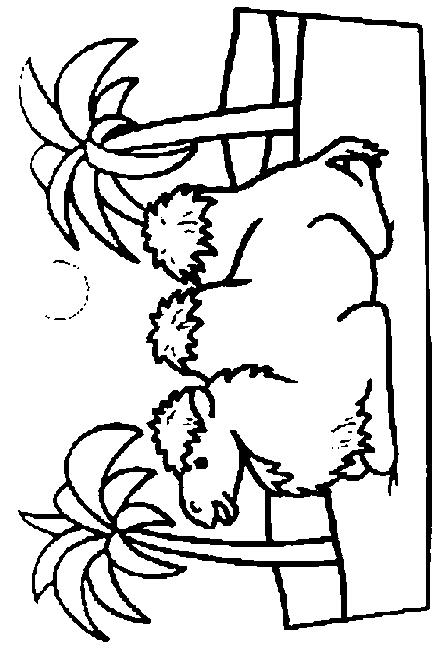 Camels-coloring-page-6