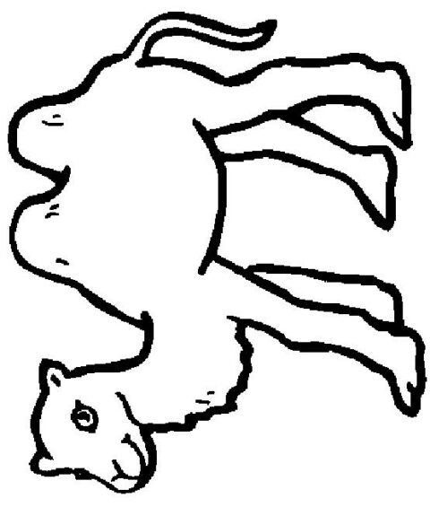 Camels-coloring-page-7