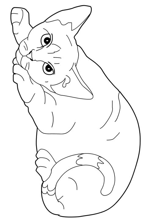 Cats Coloring Pages - Coloring Kids
