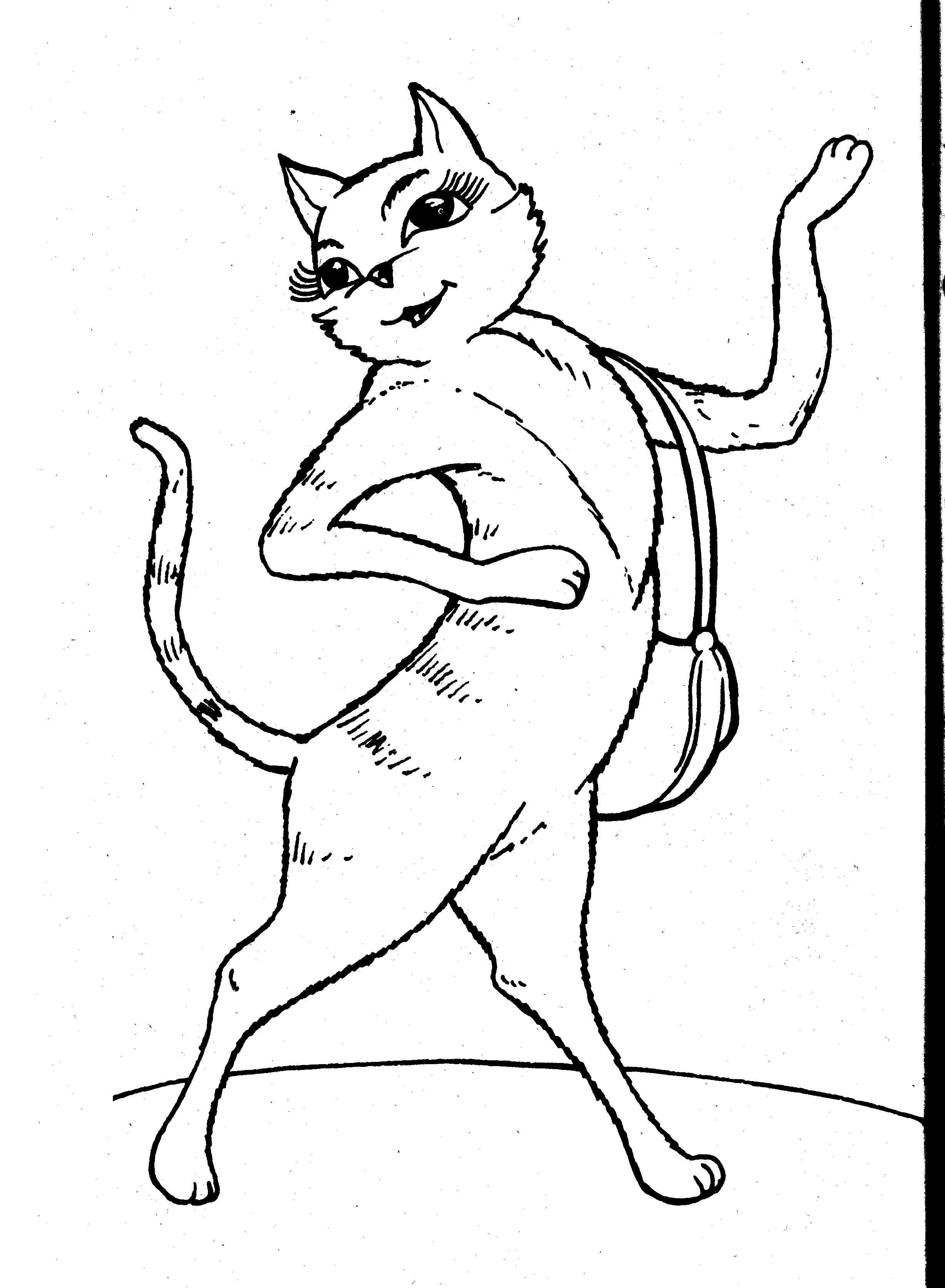 cats-coloring-pages-coloring-kids