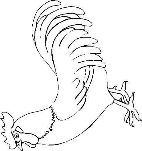 Chickens-coloring-page-12