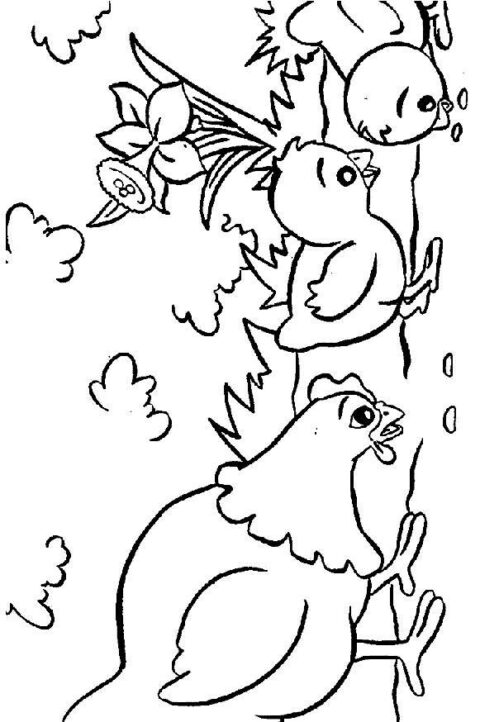 Chickens-coloring-page-13