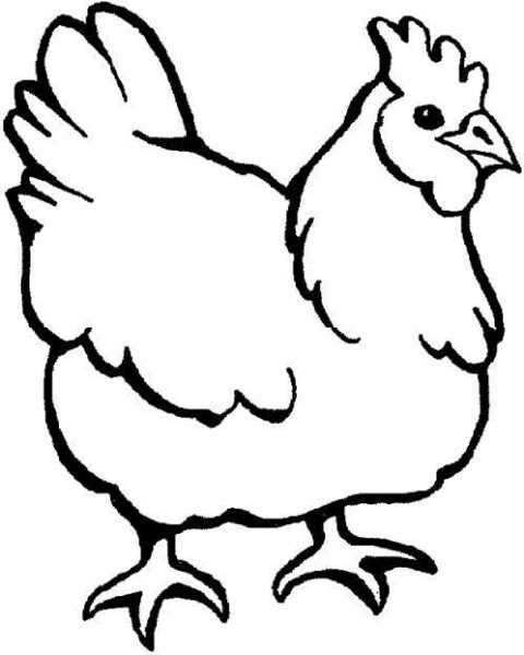 Chickens-coloring-page-14