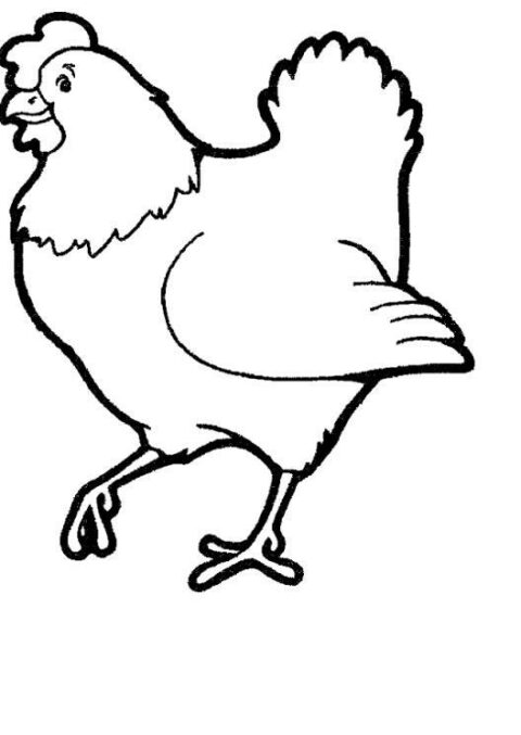 Chickens-coloring-page-16