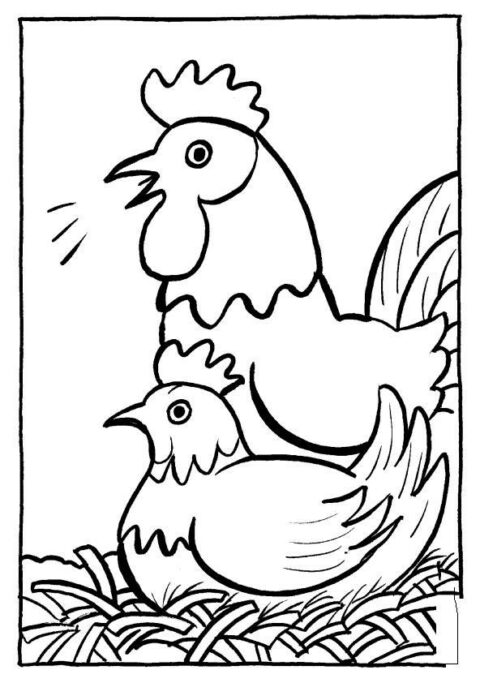 Chickens-coloring-page-19
