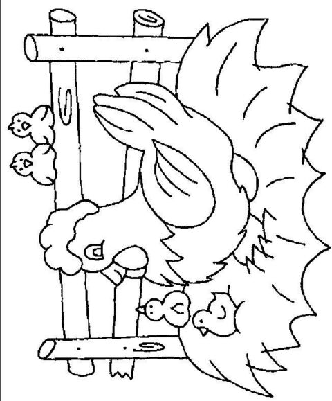 Chickens-coloring-page-4