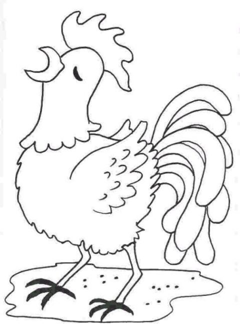 Chickens-coloring-page-7