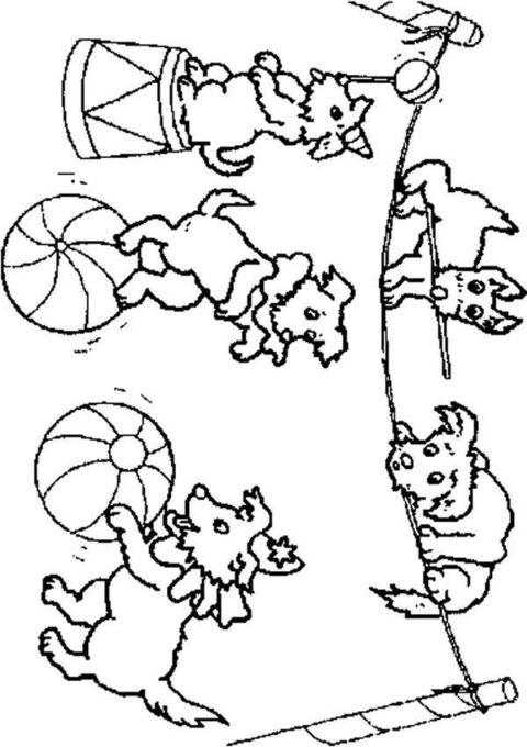 Circus-coloring-page-43