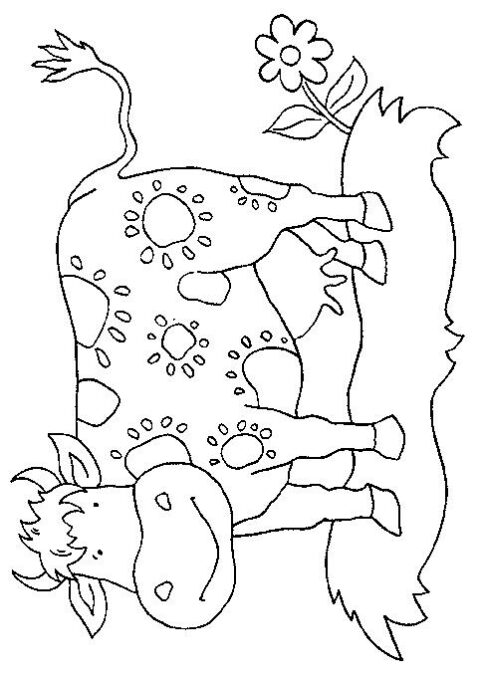 Cows-coloring-page-35