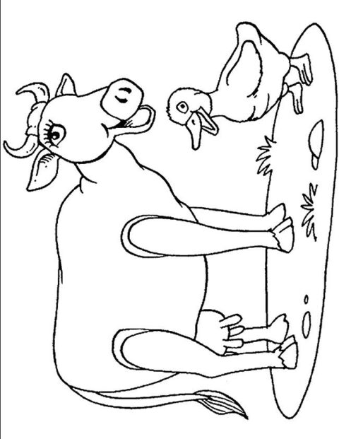 Cows-coloring-page-7
