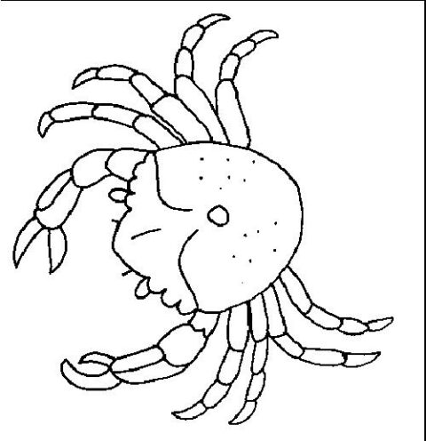 Crabs-coloring-page-11