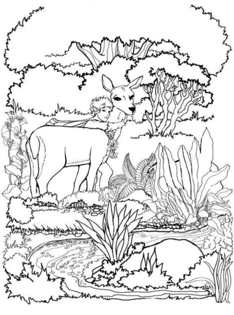 Deers-coloring-page-14