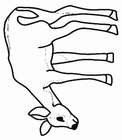 Deers-coloring-page-15