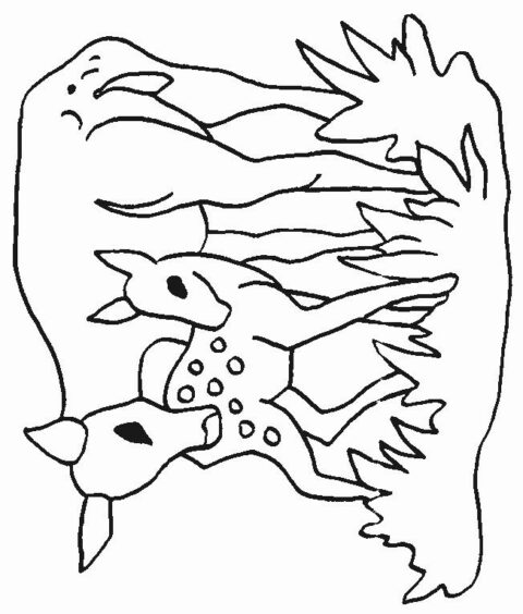 Deers-coloring-page-18