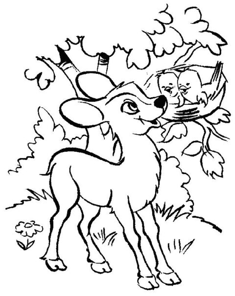 Deers-coloring-page-2